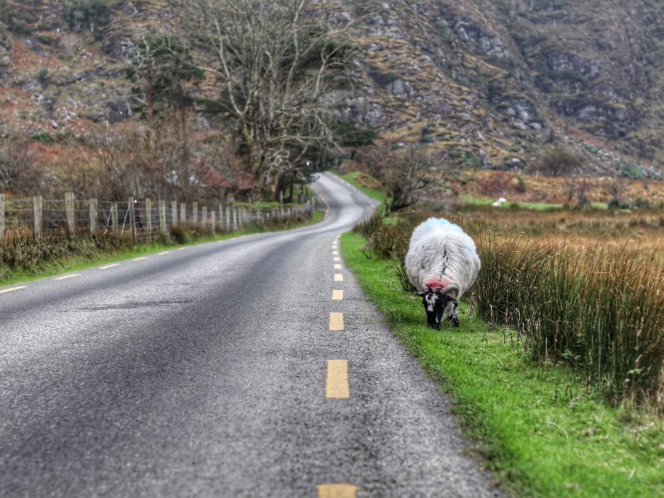 Driving in Ireland